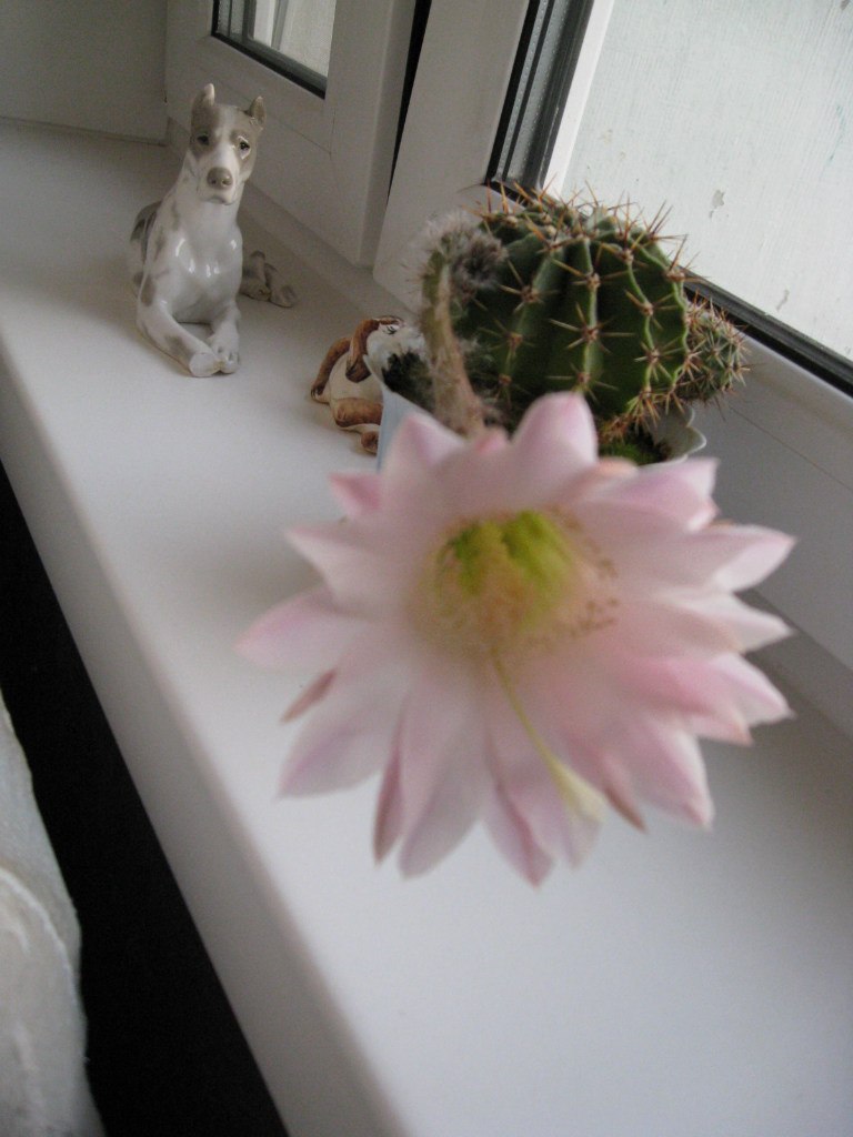 Кирилл Мусатов | Москва