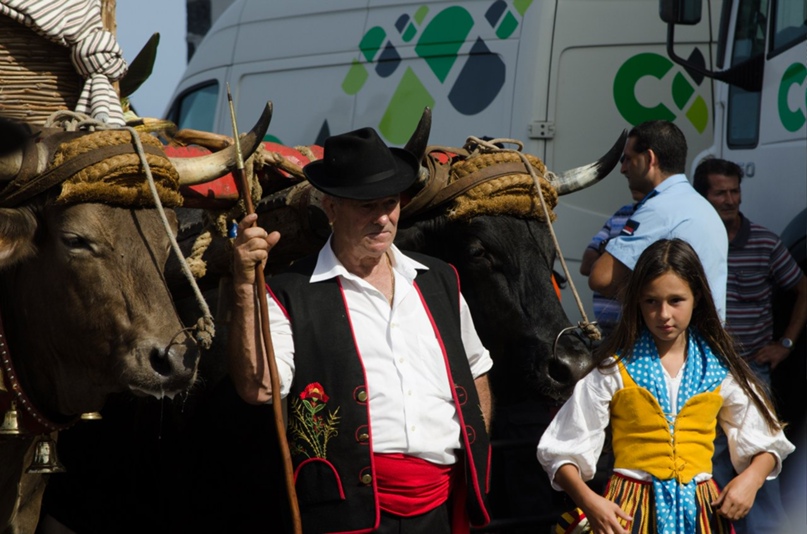 Veronika Belan | Москва