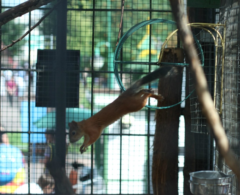 Вадим Жарков ♀Hush♀ | Москва