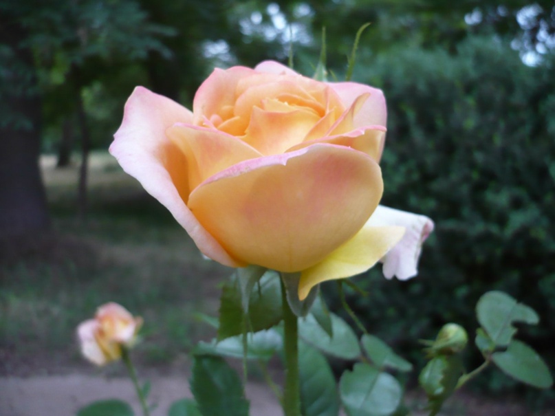 Наталья Мокрушина | Киров