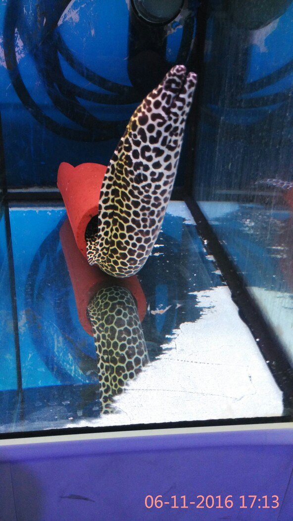 Ирина Чагина | Москва