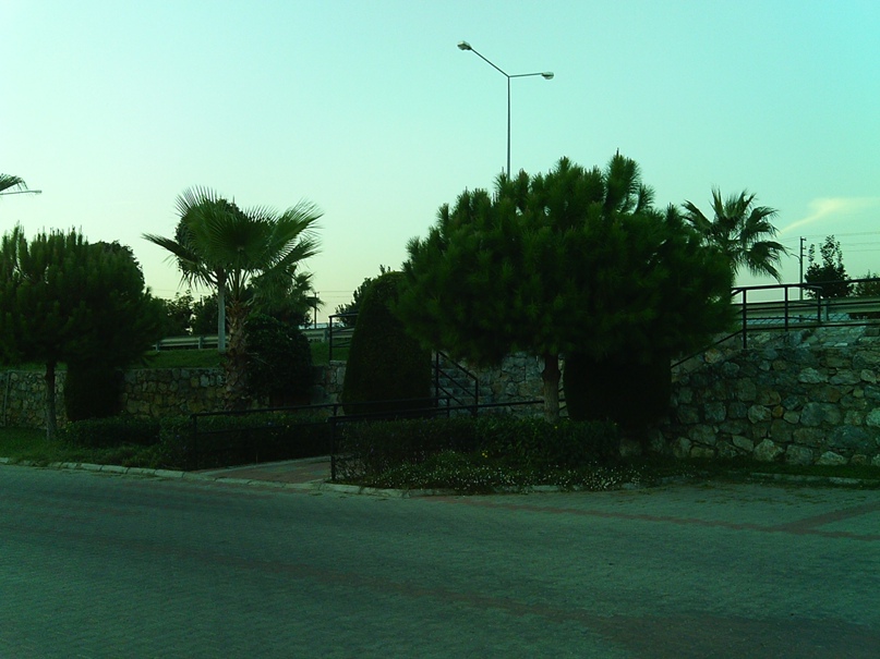 Лариса Павлова | Санкт-Петербург