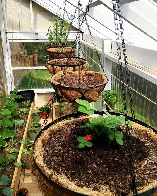 Алина Лонг | Москва