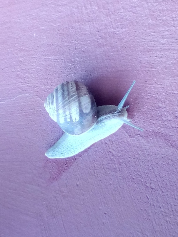 Людмила Белькова | Екатеринбург