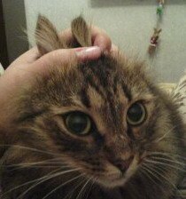 Елена Варламова | Калуга