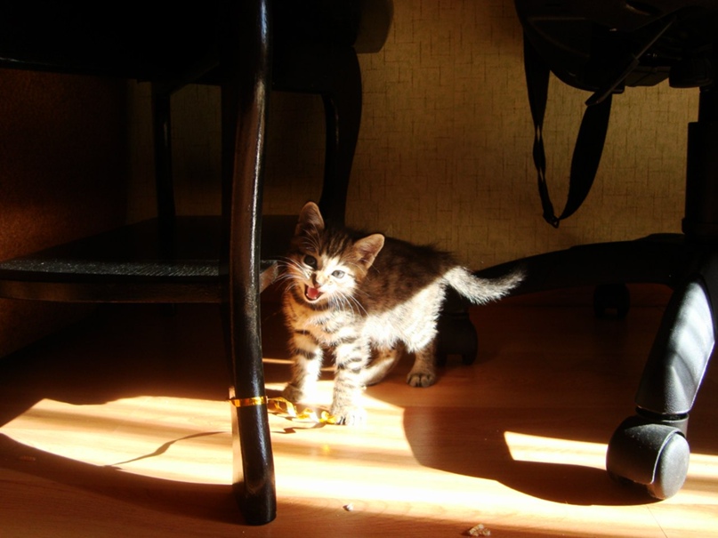 Анастасия Денисова | Владивосток