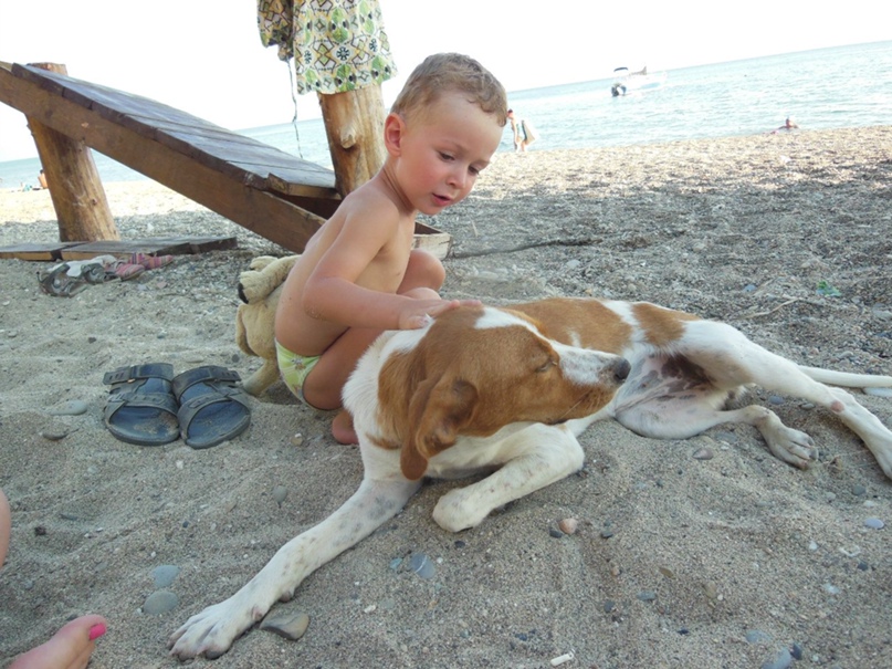 Андрей Москалёв | Таганрог