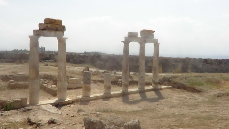 Андрей Тимофеев | Санкт-Петербург