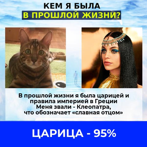 Лена Мосина | Калининград