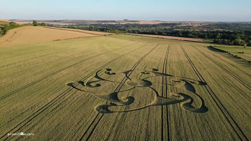 Crop Circle Etchilhampton Hill 08 08