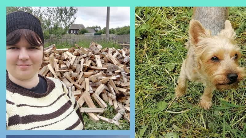 Деревня Купили дрова. Вопросы с документами решены, нашла