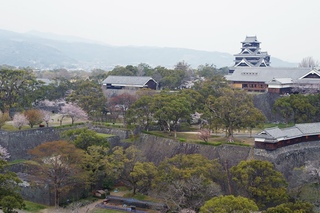 [ 4K Ultra HD ] 熊本城と桜 Kumamoto Castle surrounded by Cherry Blossoms (Shot on RED EPIC)