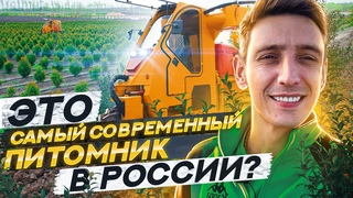 Питомник растении ВЕНЕВ - МЕЧТА ПИТОМНИКОВОДА фильм Ивана Малича