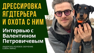 Дрессировка ягдтерьера и охота с ним. Интервью с Валентином Петровичевым. Часть 1