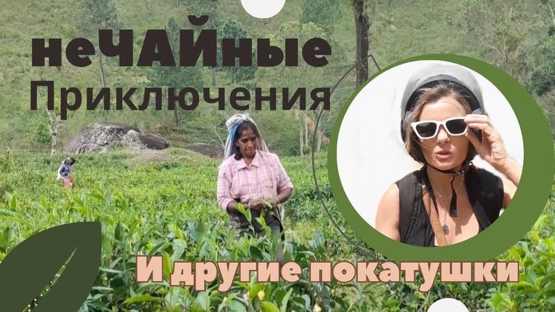 Показываю Красивые Места В Округе По Чайным Плантациям И