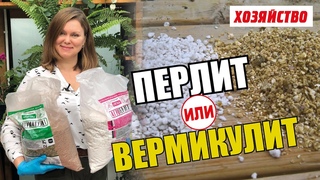 Перлит или Вермикулит  что лучше