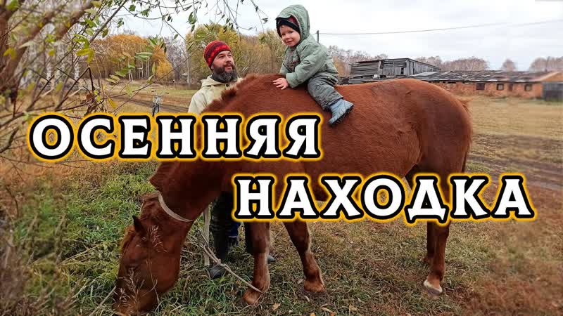 Как приобрести хорошую кобылу в деревне за 0 рублей. История