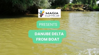 What can you see in Romania - Danube Delta from boat | Delta Dunării de pe barcă