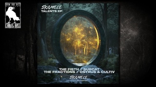 The Fractions - Pulsar Skamele Recordings