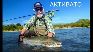 Мощный активатор клева!