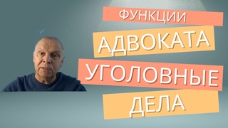 Современные функции адвоката по уголовным делам. Защита обвиняемых, подсудимых и потерпевших.