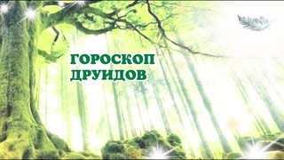 ГОРОСКОП ДРУИДОВ