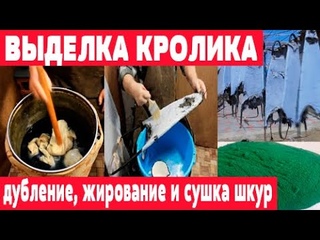Дубление, жирование и сушка шкур  Выделка кролика  Часть 4