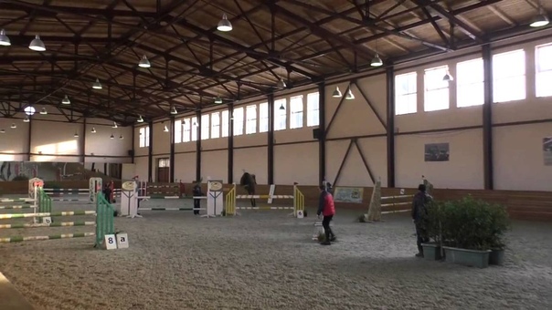 Horse Knocks off Rider and Finishes Competition