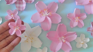 折り紙 桜の花 立体 折り方 Origami flower Cherry blossoms tutorial（niceno1）
