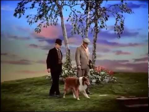 Son of Lassie The first meeting between June Lockhart and