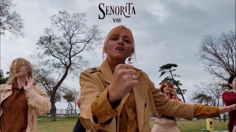 VAV Senorita (dance cover by VVS group of Simon