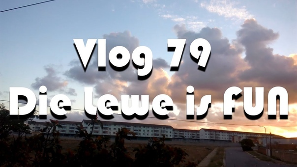 Vlog 79 Die Lewe is FUN The Daily Vlogger in