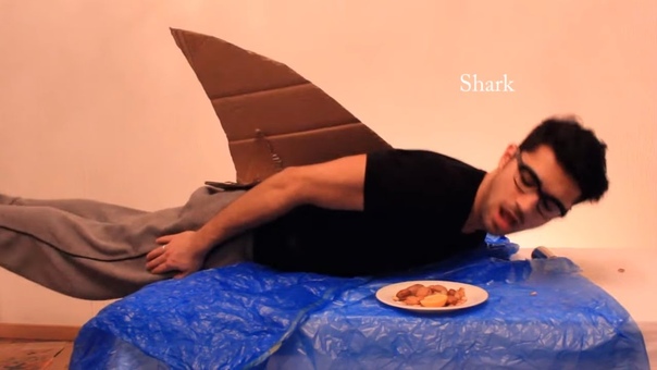 How Animals Eat Their
