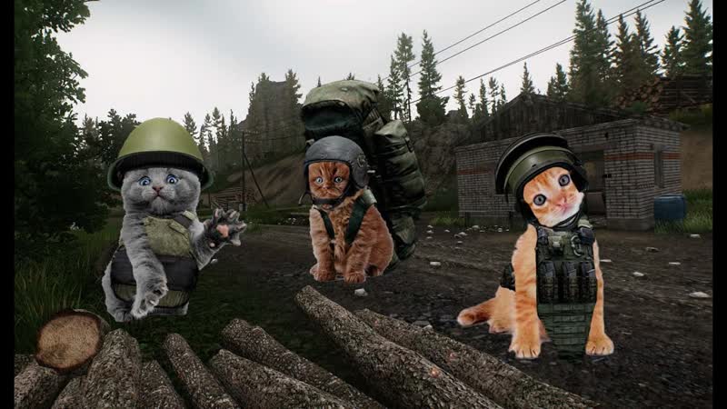 FLIR не
