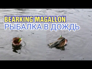 РЫБАЛКА НА СПИННИНГ В ДОЖДЬ ПОЗДНЕЙ ОСЕНЬЮ! ГОЛАВЛЬ И ЩУКА НА BEARKING MAGALLON 113
