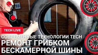 Ремонт прокола бескамерной шины грибком. Надежно и по всем правилам. На глазах у клиента!