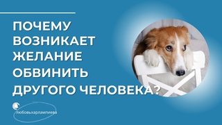 Что стоит за привычкой и желанием обвинить в чем-либо другого человека