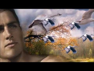 Вячеслав Хурсенко. Крик белых журавлей .