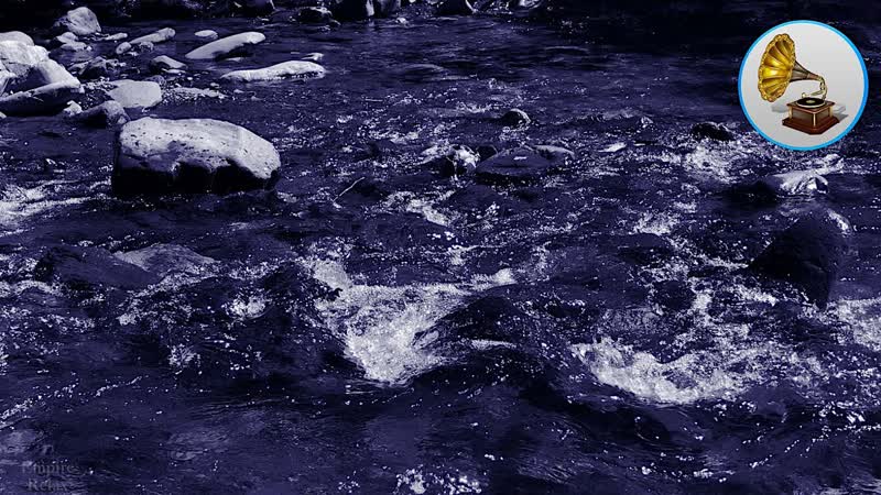 The noise of a mountain river and the singing of birds. A dark screen for