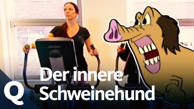 Warum wir gute Vorsätze selten einhalten und wies doch gelingen kann,
