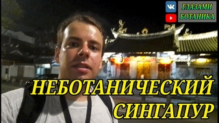 НЕБОТАНИЧЕСКИЙ СИНГАПУР ГЛАЗАМИ БОТАНИКА – История / Архитектура / Метро / Путешествия / Тревел-блог