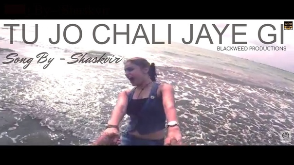 TU JO CHALI JAYE GI OFFICAL Video Song, shaskvir, Latest Hindi Song 2016, sad