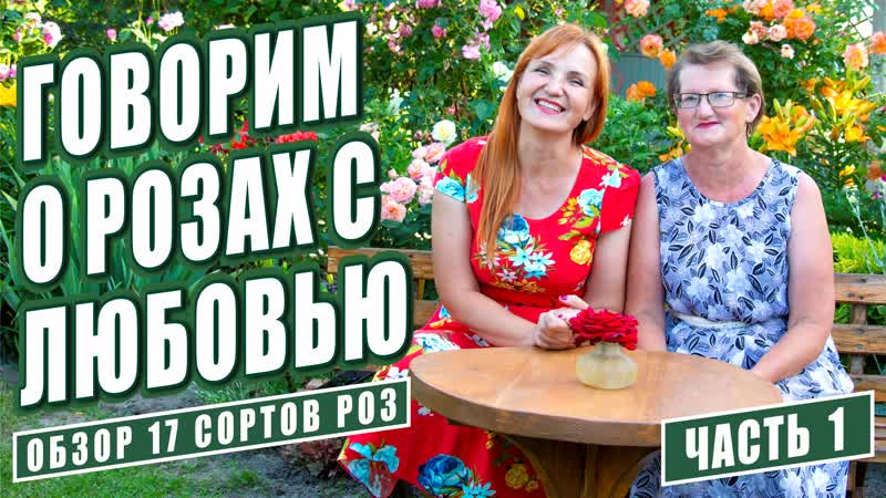 ГОВОРИМ О РОЗАХ С ЛЮБОВЬЮ. ЧАСТЬ 1. ОБЗОР 17 СОРТОВ