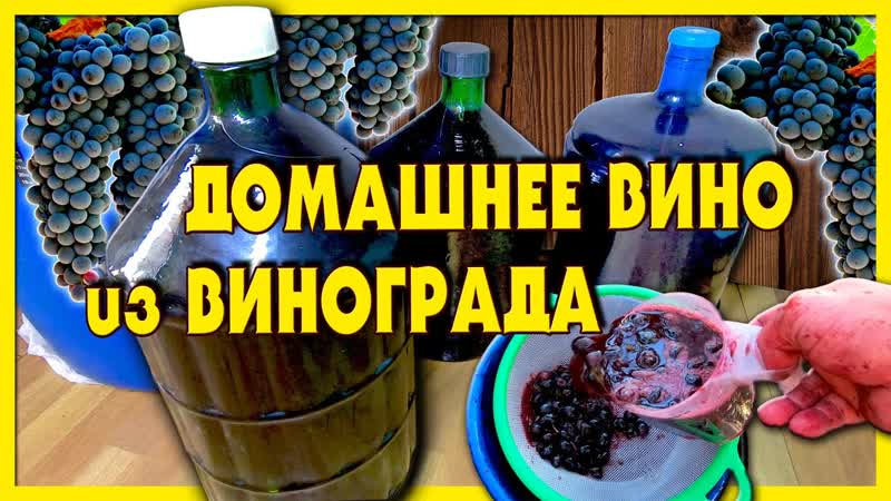 ДОМАШНЕЕ ВИНО из