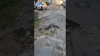 СТЫДНО ! У. Заманова г.#Махачкала Обращение к правительству
