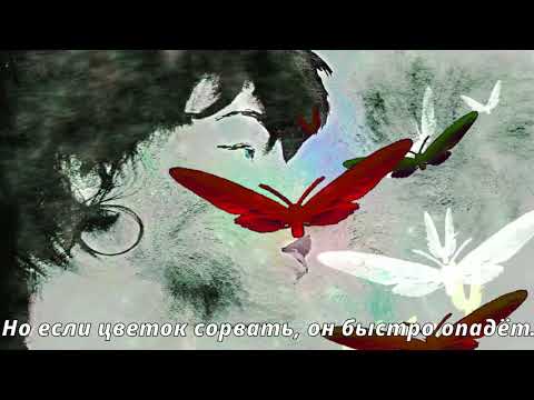 Meiko Kaji Urami Bushi (перевод