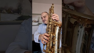 Saxophon Blues Scala +5 Übungen von Alexander Vinokurov