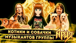 АРИЯ - кошки и собаки музыкантов / Кого Кипелов носил на руках / Кто посвятил альбом своей собачке