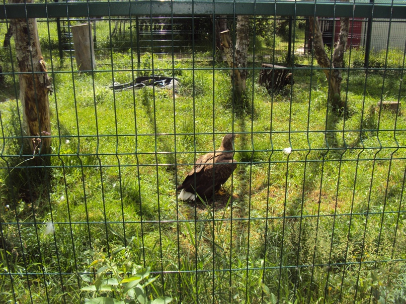 Аня Еремина | Петрозаводск