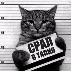 Андрей Алмаматов